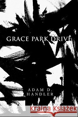 Grace Park Drive Adam D. Handler 9781441578334 Xlibris Corporation - książka