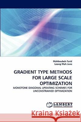 Gradient Type Methods for Large Scale Optimization Mahboubeh Farid, Leong Wah June 9783844319682 LAP Lambert Academic Publishing - książka