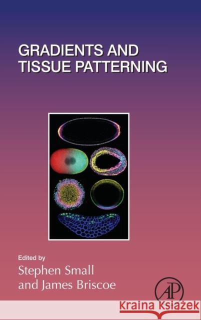 Gradients and Tissue Patterning: Volume 137 Small, Stephen 9780128127902 Academic Press - książka