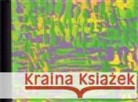 Grafika František Hodonský 9788086587424 Vltavín - książka