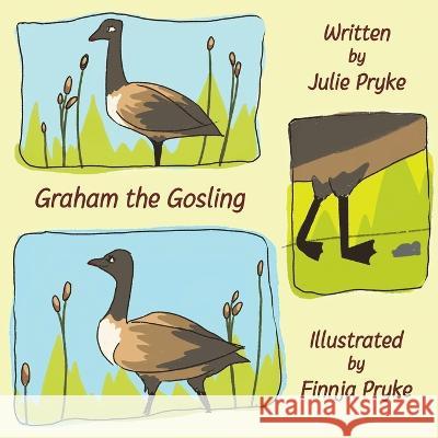 Graham the Gosling Julie Pryke Finnja Pryke  9781786455581 Beaten Track Publishing - książka