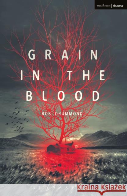 Grain in the Blood Rob Drummond 9781350023789 Methuen Publishing - książka