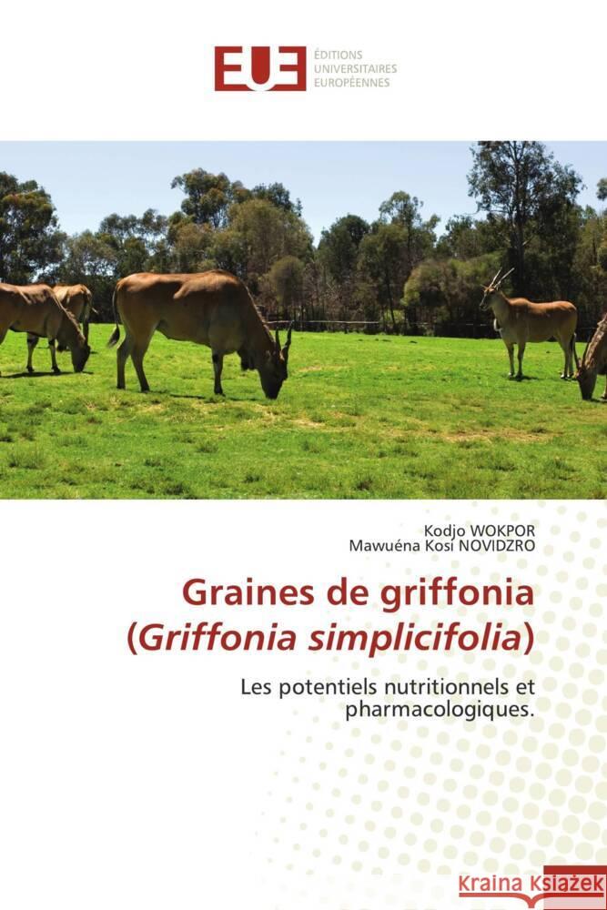 Graines de griffonia (Griffonia simplicifolia) WOKPOR, Kodjo, NOVIDZRO, Mawuéna Kosi 9786138431572 Éditions universitaires européennes - książka