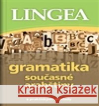 Gramatika současné arabštiny kolektiv autorů 9788075080479 Lingea - książka