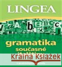Gramatika současné italštiny kolektiv autorů 9788077000239 Lingea - książka