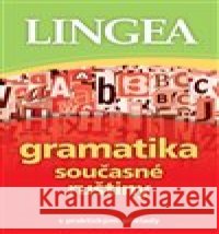 Gramatika současné ruštiny kolektiv autorů 9788077000246 Lingea - książka