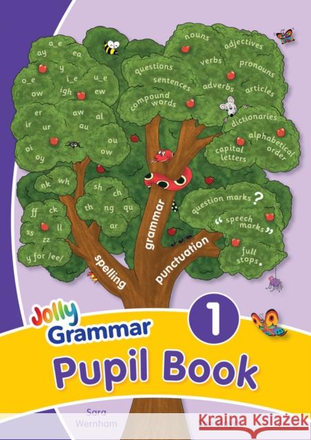 Grammar 1 Pupil Book: in Precursive Letters (British English edition) Sue Lloyd 9781844142620 Jolly Learning Ltd - książka