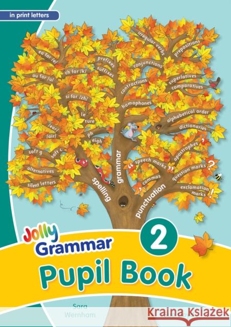 Grammar 2 Pupil Book: In Print Letters (British English edition) Sara Wernham Sue Lloyd  9781844143924 Jolly Learning Ltd - książka