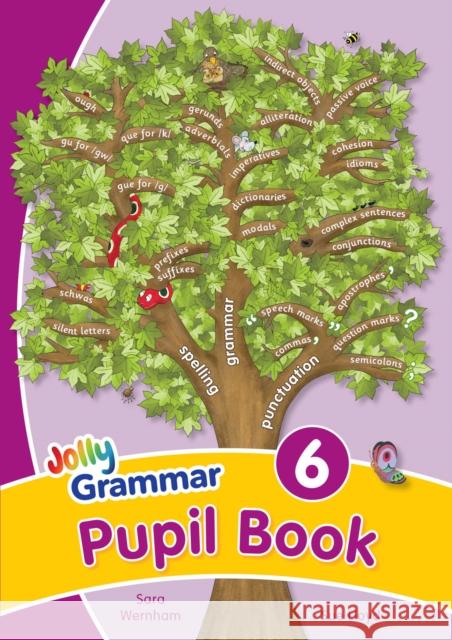 Grammar 6 Pupil Book: In Precursive Letters (British English edition) Sue Lloyd 9781844145133 Jolly Learning Ltd - książka