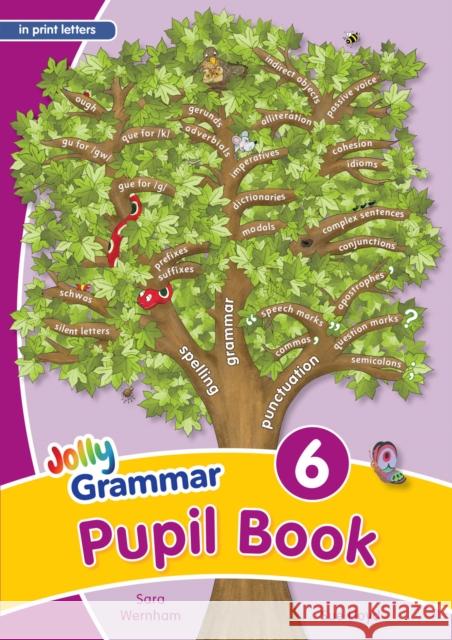 Grammar 6 Pupil Book: In Print Letters (British English edition) Sue Lloyd 9781844145157 Jolly Learning Ltd - książka