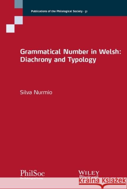 Grammatical Number in Welsh : Diachrony and Typology Silva Nurmio 9781119615262  - książka