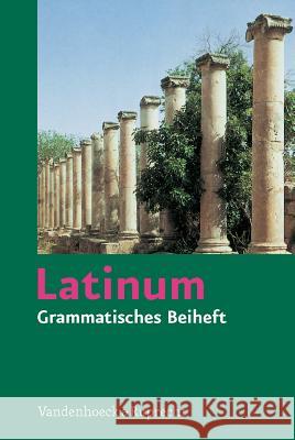 Grammatisches Beiheft : Auch parallel zu Ausgabe B verwendbar Helmut Sch Helmut Schluter 9783525714010 Vandehoeck & Ruprecht - książka