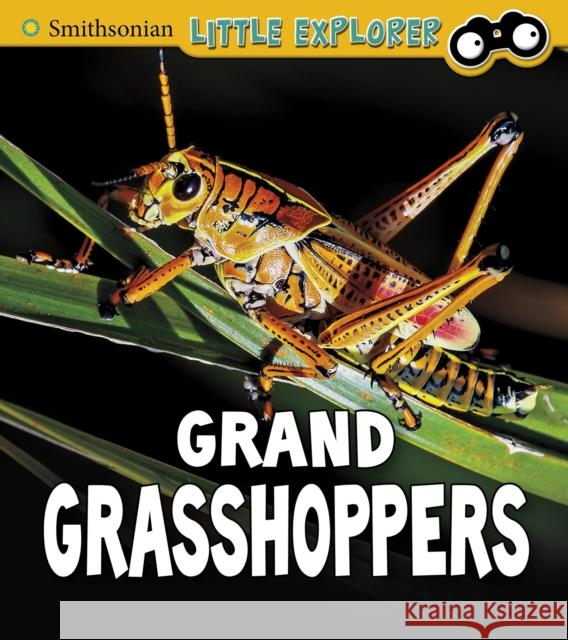 Grand Grasshoppers Megan Cooley Peterson 9781474770613 Capstone Global Library Ltd - książka