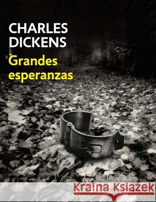 Grandes Esperanzas (Spanish Edition) Erick Winter Charles Dickens 9781535374880 Createspace Independent Publishing Platform - książka