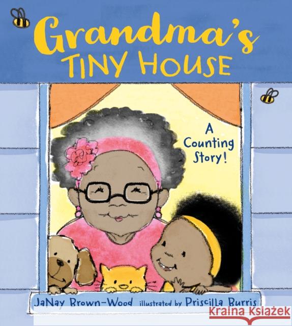 Grandma's Tiny House: A Counting Story! Janay Brown-Wood Priscilla Burris 9781580897129 Charlesbridge Publishing - książka