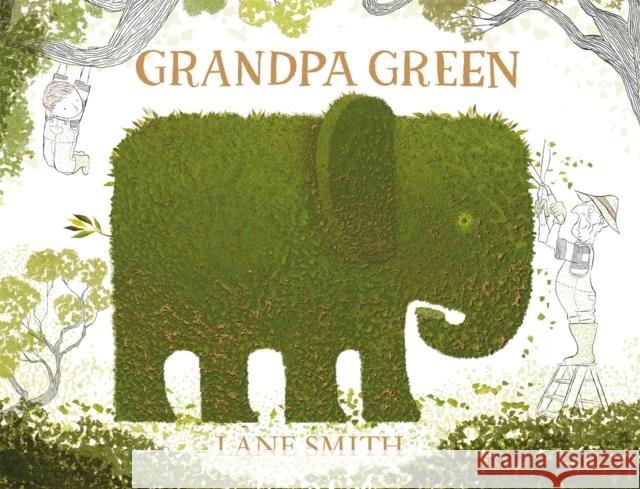 Grandpa Green Smith, Lane 9781447218357 Pan Macmillan - książka