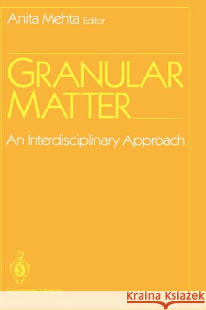 Granular Matter: An Interdisciplinary Approach Mehta, Anita 9780387940656 Springer - książka