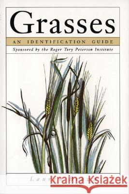 Grasses: An Identification Guide Lauren Brown Lauren Brown 9780395628812 Houghton Mifflin Company - książka