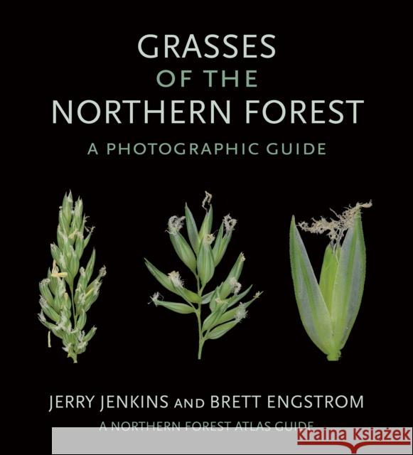 Grasses of the Northern Forest: A Photographic Guide Jerry Jenkins Brett Engstrom 9781501764127 Comstock Publishing - książka