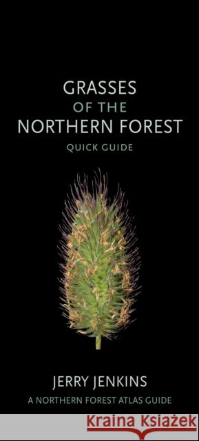 Grasses of the Northern Forest: Quick Guide Jerry Jenkins 9781501764318 Comstock Publishing - książka