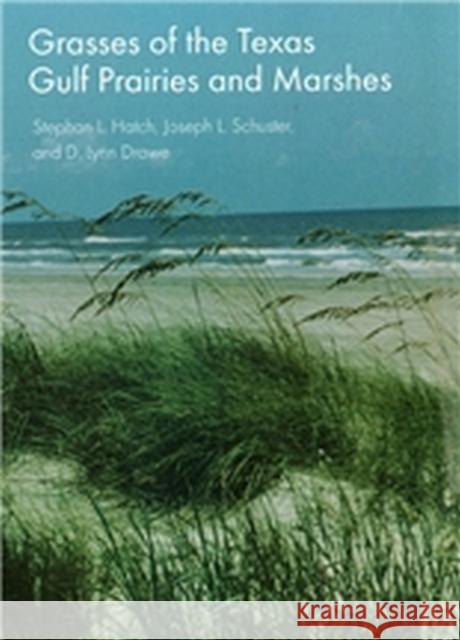 Grasses of the Texas Gulf Prairies and Marshes Stephan L. Hatch D. Lynn Drawe Joseph L. Schuster 9780890968895 Texas A&M University Press - książka