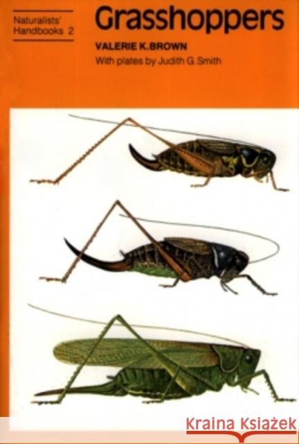 Grasshoppers Valerie K Brown 9780855462772 Richmond Publishing Ltd - książka