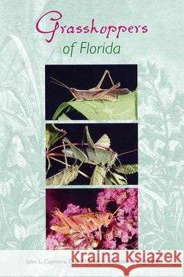 Grasshoppers of Florida John L. Capinera Clay W. Scherer Jason M. Squitier 9780813024264 University Press of Florida - książka