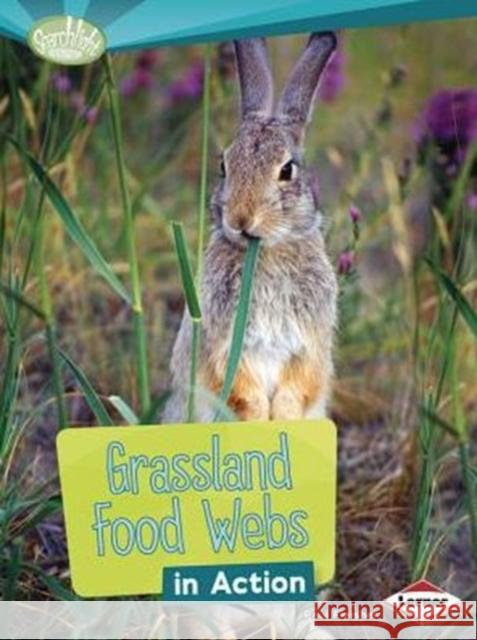 Grassland Food Webs in Action Paul Fleisher 9781467715546 Lerner Classroom - książka