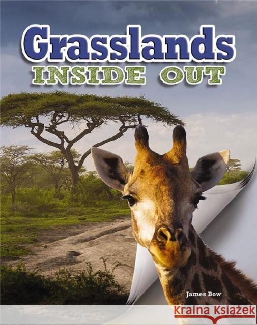 Grasslands James Bow 9780778707066 Crabtree Publishing Company - książka