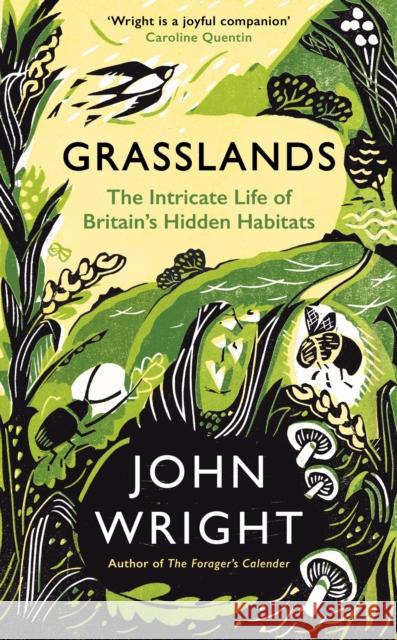 GRASSLANDS JOHN WRIGHT 9781781258101 PROFILE BOOKS - książka