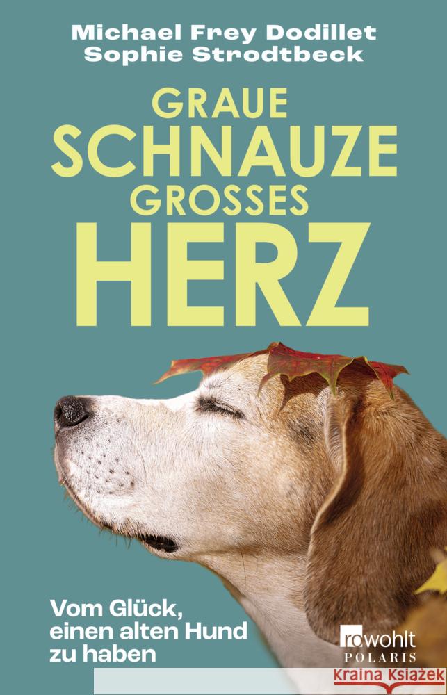 Graue Schnauze, großes Herz Frey Dodillet, Michael, Strodtbeck, Sophie 9783499013515 Rowohlt TB. - książka