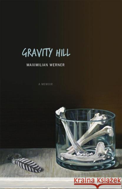 Gravity Hill Werner, Maximilian 9781607812425 University of Utah Press - książka
