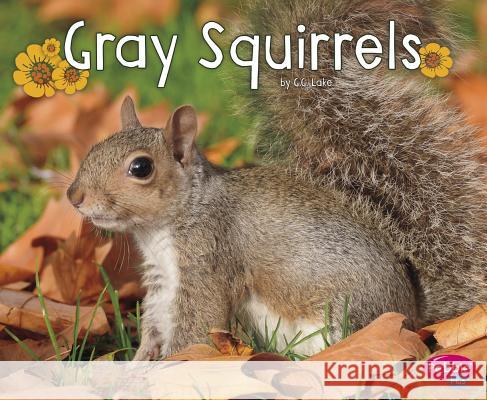 Gray Squirrels G. G. Lake 9781515708254 Capstone Press - książka