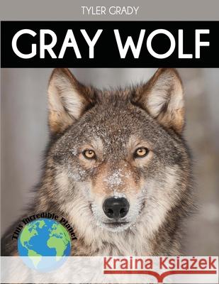 Gray Wolf: Fascinating Animal Facts for Kids Tyler Grady 9781647900922 Dylanna Publishing, Inc. - książka