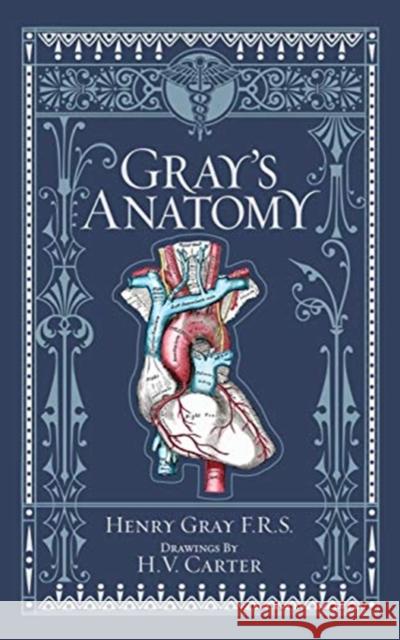Gray's Anatomy Henry Gray 9781435167919 Sterling Juvenile - książka