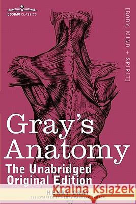 Gray's Anatomy: Descriptive and Surgical Henry Gray, M.D., F.R.S., Henry Vandyke Carter 9781616404697 Cosimo Classics - książka