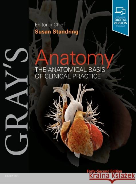 Gray's Anatomy: The Anatomical Basis of Clinical Practice Susan Standring 9780702077050 Elsevier Health Sciences - książka