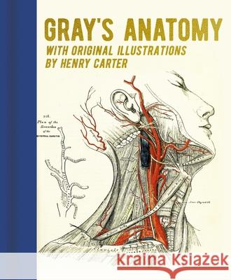 Gray's Anatomy: With Original Illustrations by Henry Carter Gray, Henry 9781398820586 Sirius Entertainment - książka