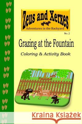 Grazing at the Fountain Coloring & Activity Book Natasha Owens 9781530265633 Createspace Independent Publishing Platform - książka