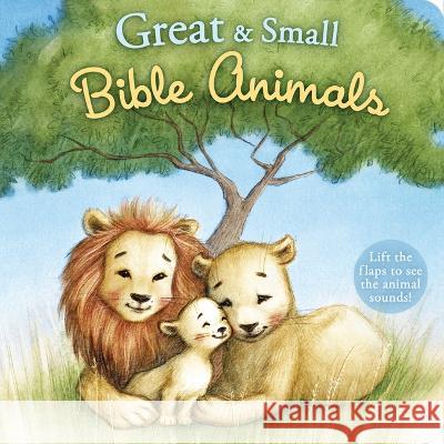 Great and Small Bible Animals B&h Kids Editorial                       Anna Abramskaya 9781087755960 B&H Publishing Group - książka