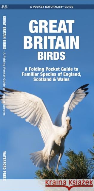 Great Britain Birds: A Folding Pocket Guide to Familiar Species of England, Scotland & Wales Waterford Press 9781620053546 Waterford Press Ltd - książka