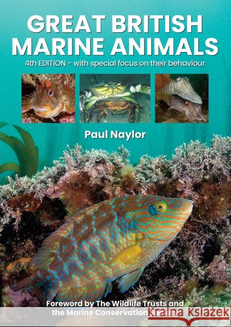 Great British Marine Animals Paul Naylor 9780952283171 Sound Diving Publications - książka