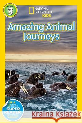 Great Migrations Amazing Animal Journeys Marsh, Laura 9781426307416 National Geographic Society - książka
