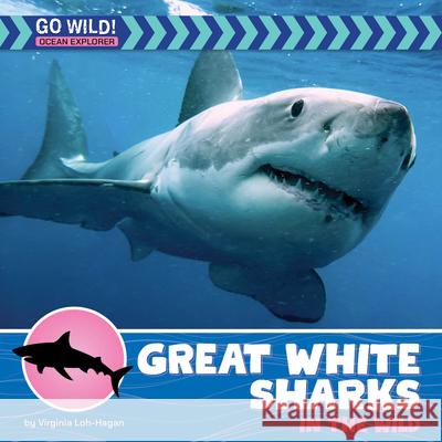 Great White Sharks in the Wild Virginia Loh-Hagan 9781668972762 Cherry Lake Publishing - książka