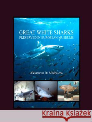 Great White Sharks Preserved in European Museums  9781847181893 Cambridge Scholars Press - książka