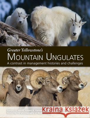 Greater Yellowstone's Mountain Ungulates: A Contrast in Management Histories and Challenges: A P. J. White Robert A. Garrott Douglas E. McWhirter 9780578926391 Robert A. Garrott - książka