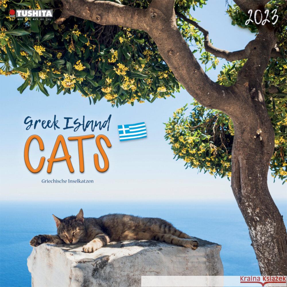 Greek Island Cats 2023  9783959291187 Tushita - książka