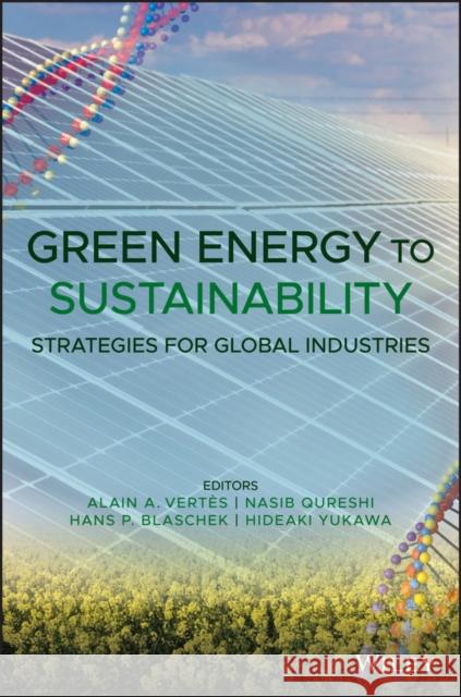 Green Energy to Sustainability: Strategies for Global Industries Alain A. Vertes Nasib Qureshi Hans P. Blaschek 9781119152026 Wiley-Blackwell - książka