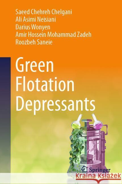 Green Flotation Depressants Saeed Chehre Ali Asimi Neisiani Darius Wonyen 9783031661075 Springer - książka