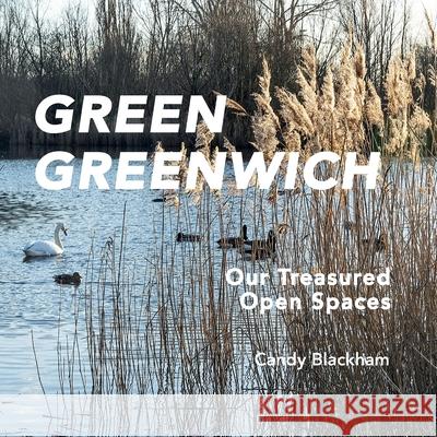 Green Greenwich Candy Blackham 9781915785411 Clink Street Publishing - książka